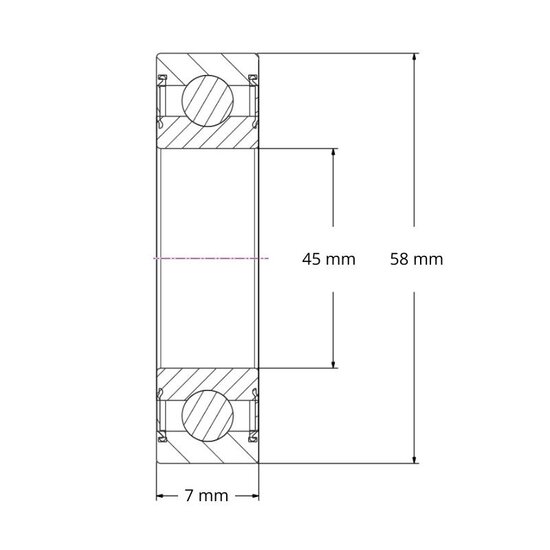 SS 6809 2RS - IBB rvs kogellager (45x58x7)